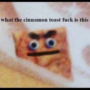 Meet your Posher, Whitney